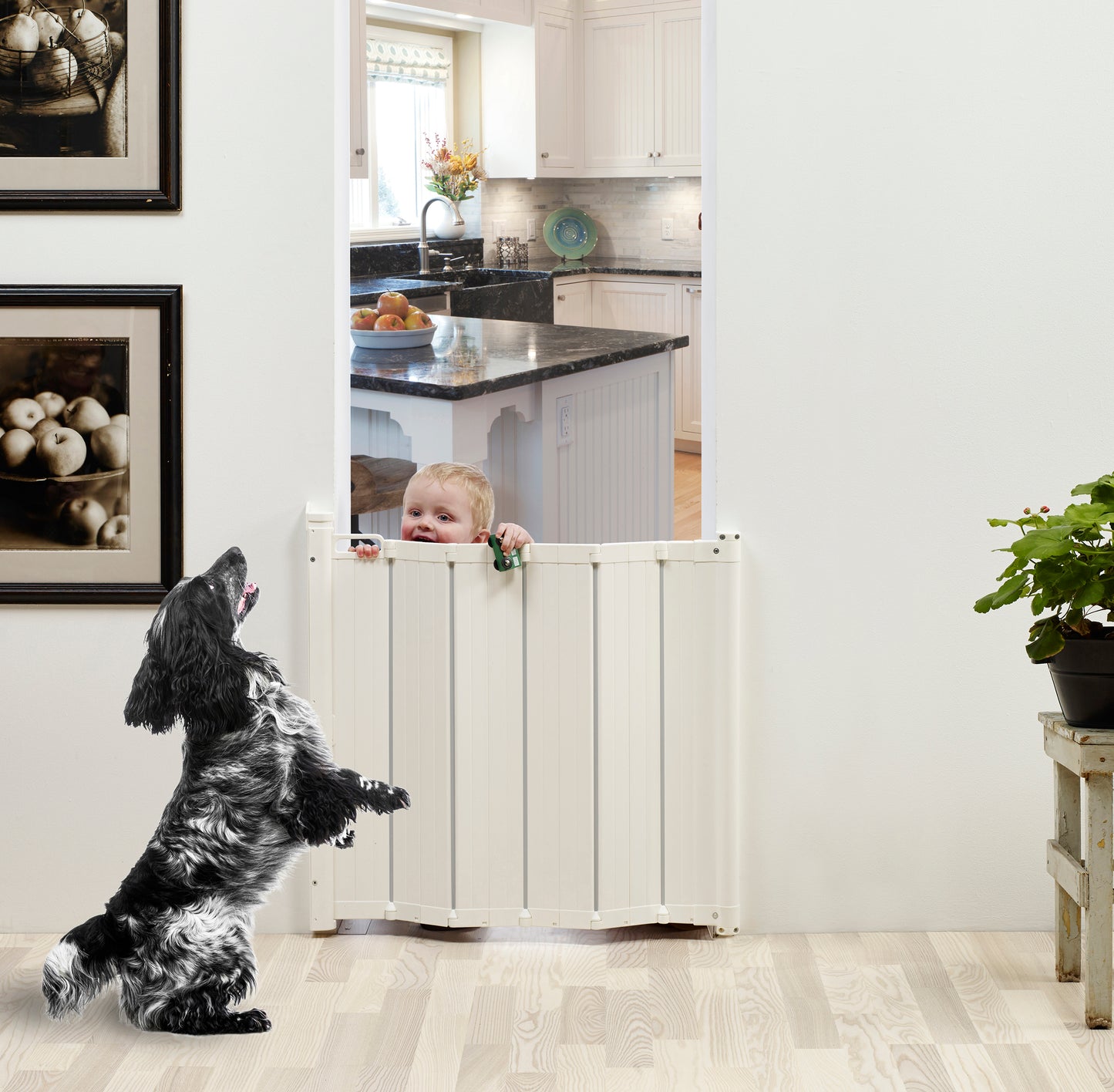 Scandinavian Pet Retractable Pet Guard 22"-36"